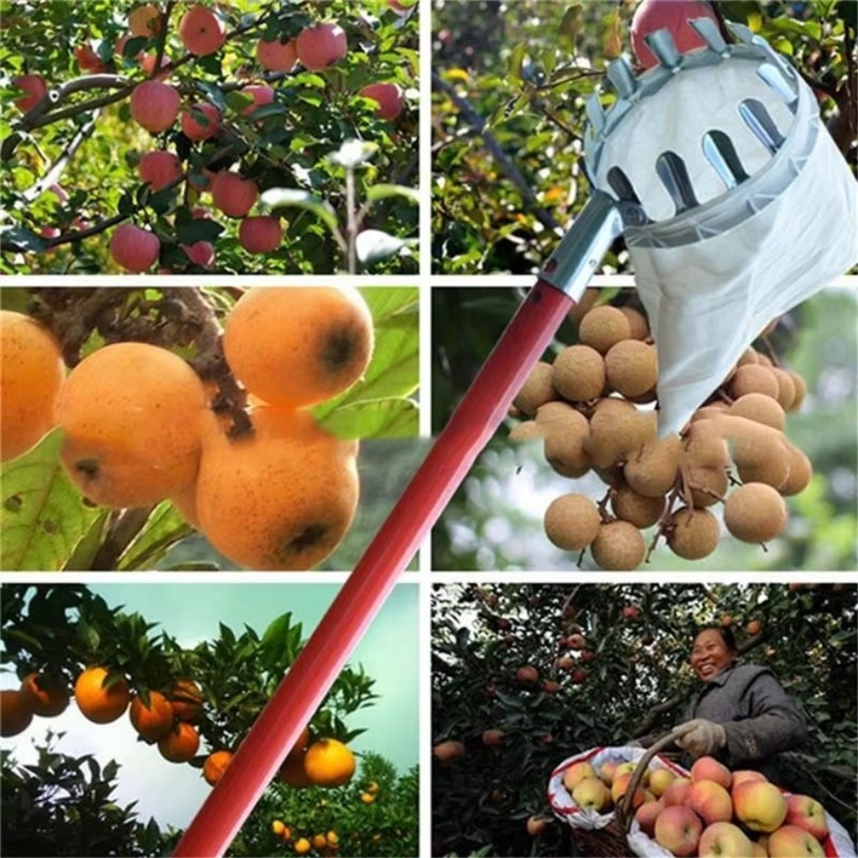 Farming Tools For Agriculture - Raccoglitrice di frutta in ferro zincato