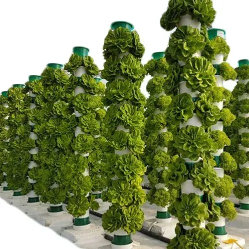 Agriculture Vertical Farming - Serre agricole sistema aeroponico agricolo verticale