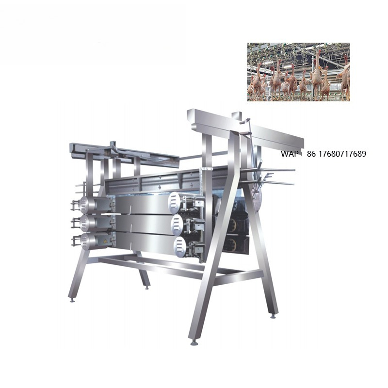 Chicken Plucker Machine - Spiumatrice per Polli, Attrezzatura per Macellazione,