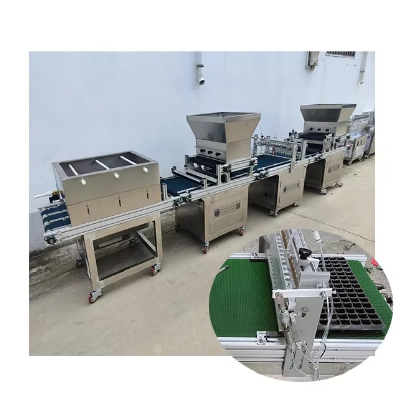 Nursery Plug Tray - Macchina Automatica per Semina in Vassoi,