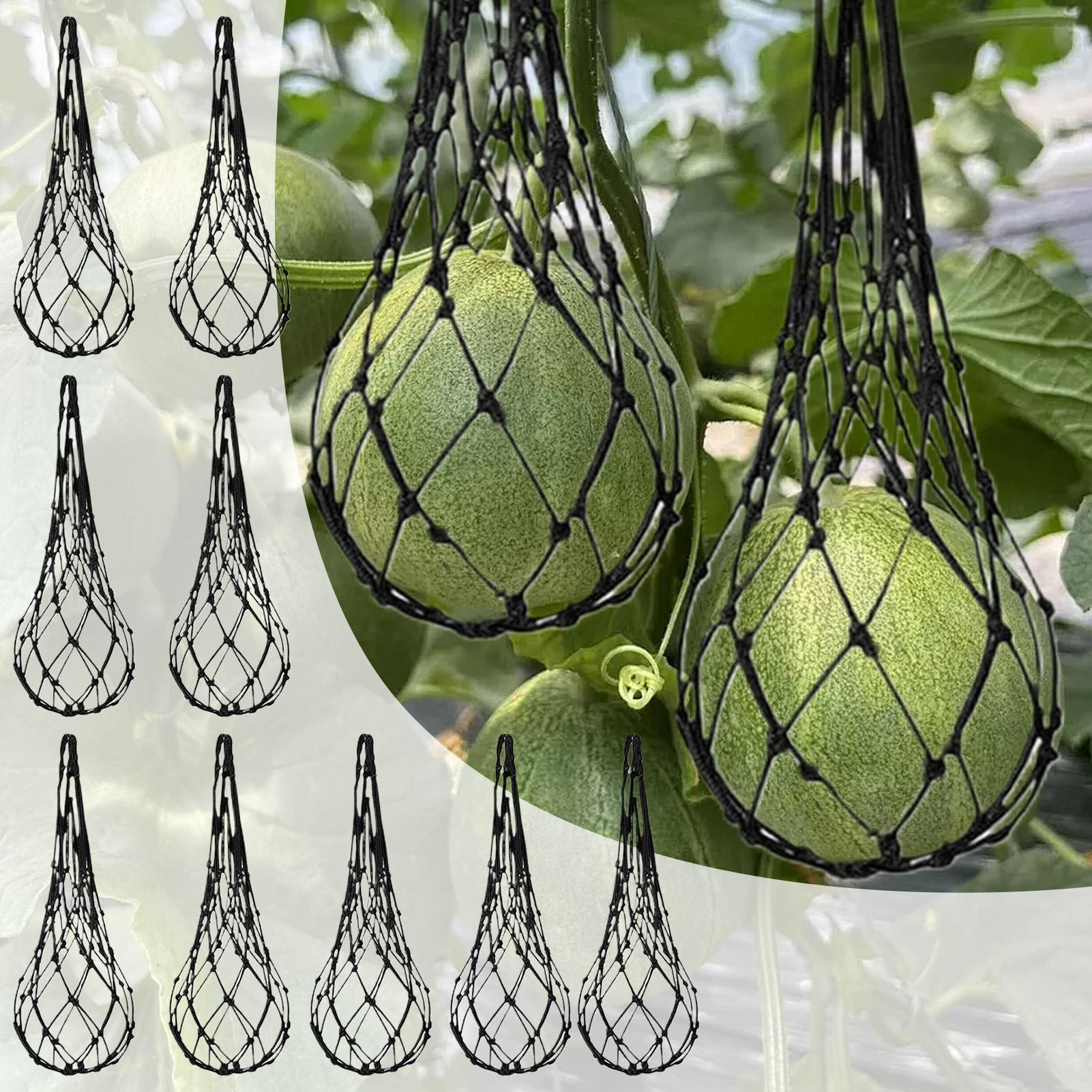 Agriculture Vertical Farming - 10 pz Reti per Angurie da