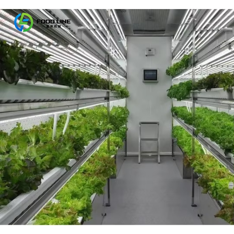 Agriculture Vertical Farming - Sistema Idroponico Verticale NFT Personalizzato per
