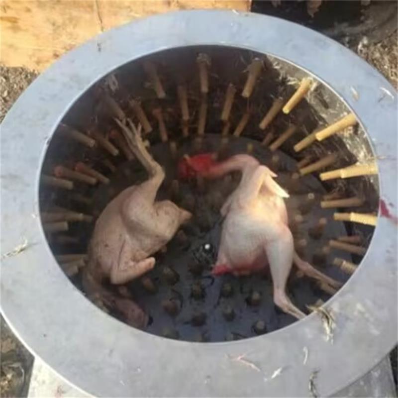Chicken Plucker Machine - Nuovo Quaglia Piccioni Uccelli Macchina per