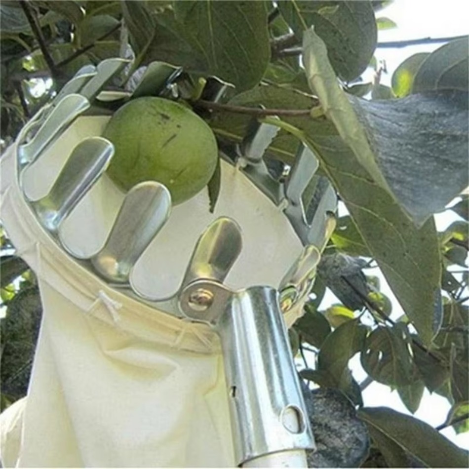 Raccoglitrice di frutta in fer - Farming Tools For Agriculture recensione e prezzo