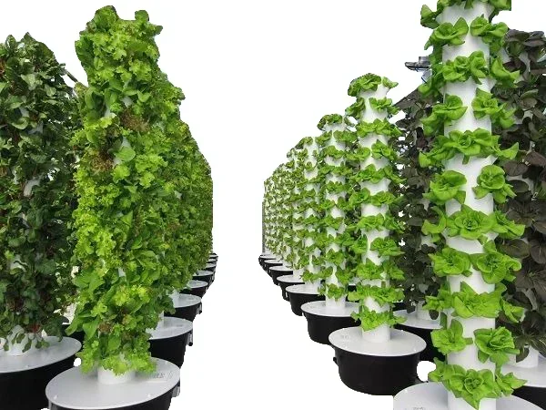 Serre agricole sistema aeropon - Agriculture Vertical Farming recensione e prezzo