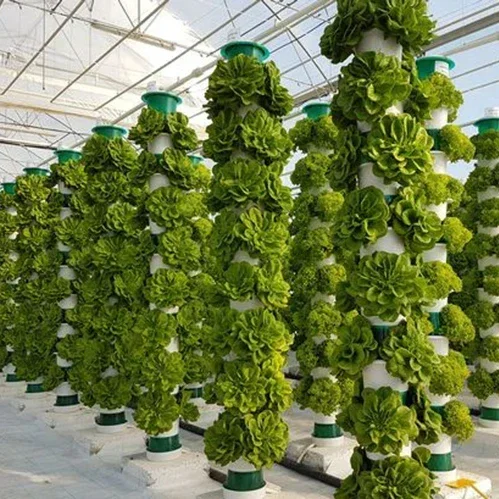 Serre agricole sistema aeropon - Agriculture Vertical Farming recensione e prezzo