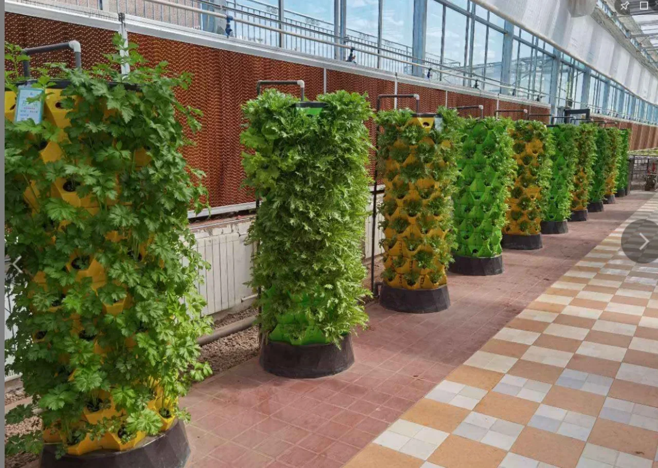 Serre agricole sistema aeropon - Agriculture Vertical Farming recensione e prezzo