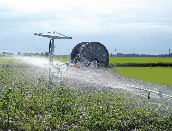 Fornitura in fabbrica Sistemi  - Agriculture Farming Technology recensione e prezzo