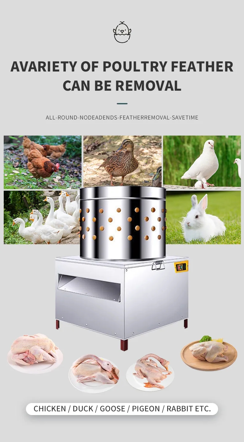 Macchina Spiumatrice per Polli - Chicken Plucker Machine recensione e prezzo