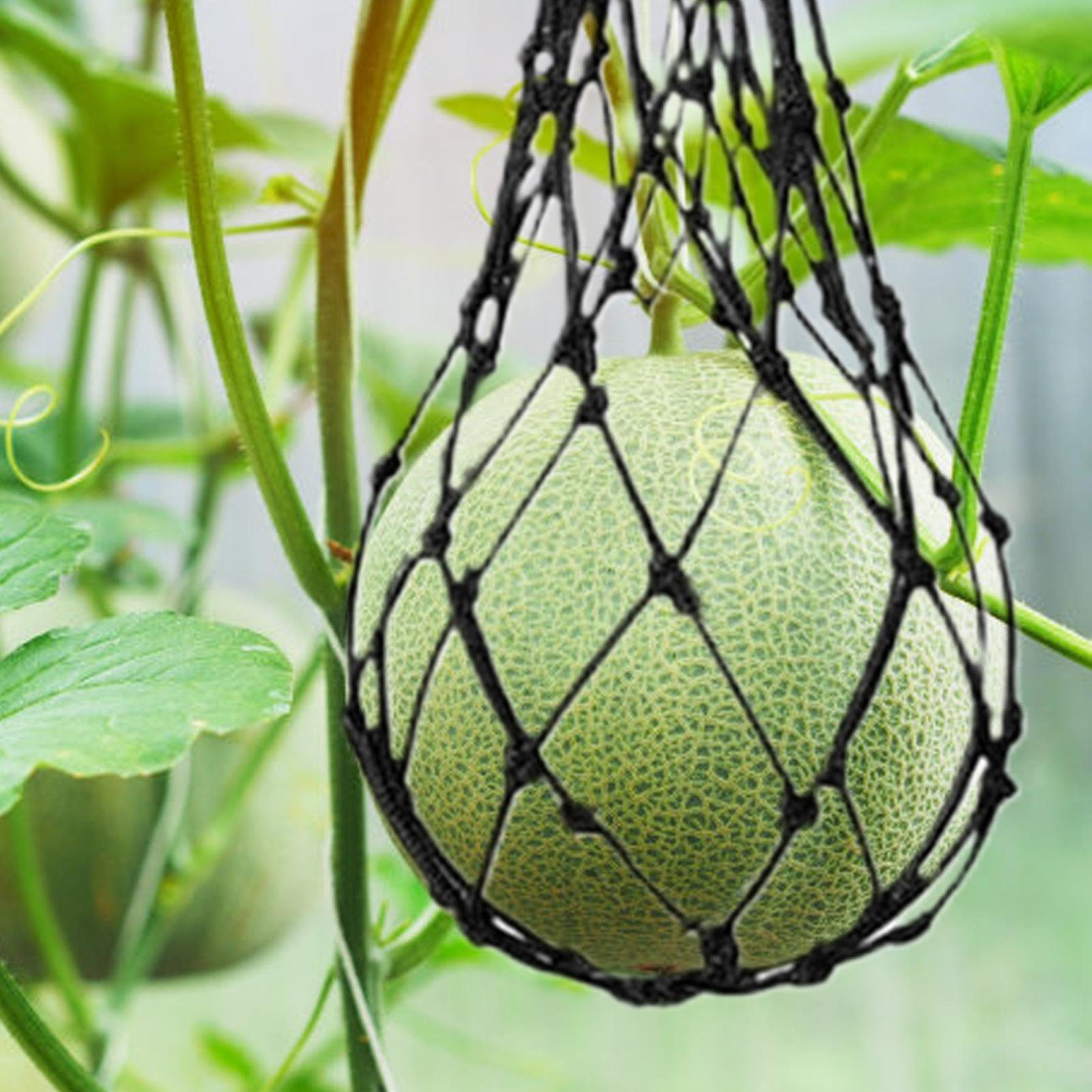 10 pz Reti per Angurie da Giar - Agriculture Vertical Farming recensione e prezzo