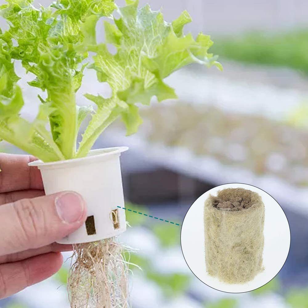 50 Pezzi Blocchi per Semina Id - Nursery Plug Tray recensione e prezzo