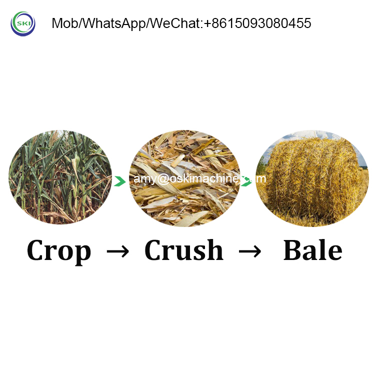 Imballatrice Automatica per In - Silage Baler Machine recensione e prezzo