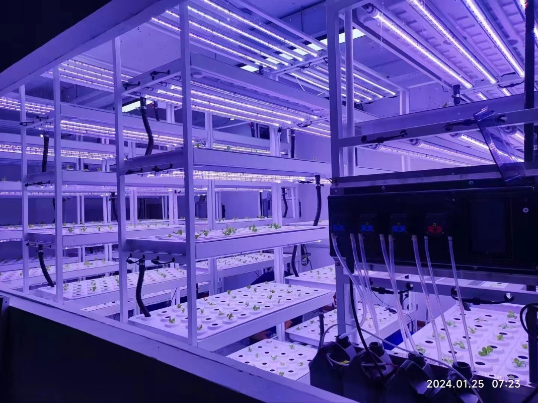 Sistema Idroponico Verticale C - Agriculture Vertical Farming recensione e prezzo