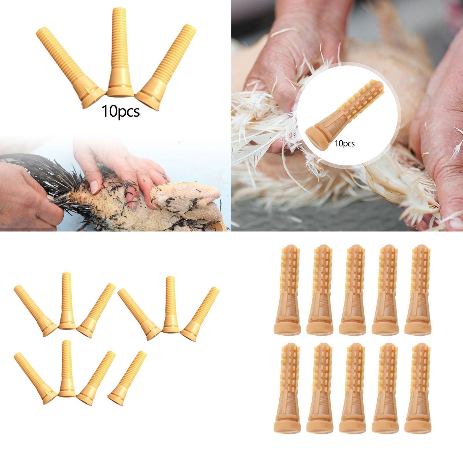 Parti di Ricambio per Spiumatr - Chicken Plucker Machine recensione e prezzo