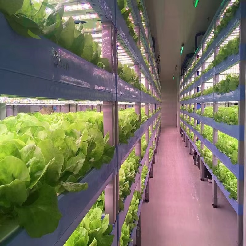 Sistema di Coltivazione Idropo - Agriculture Farming System recensione e prezzo