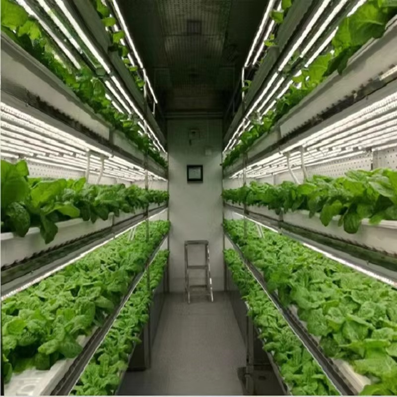 Sistema di Coltivazione Idropo - Agriculture Farming System recensione e prezzo