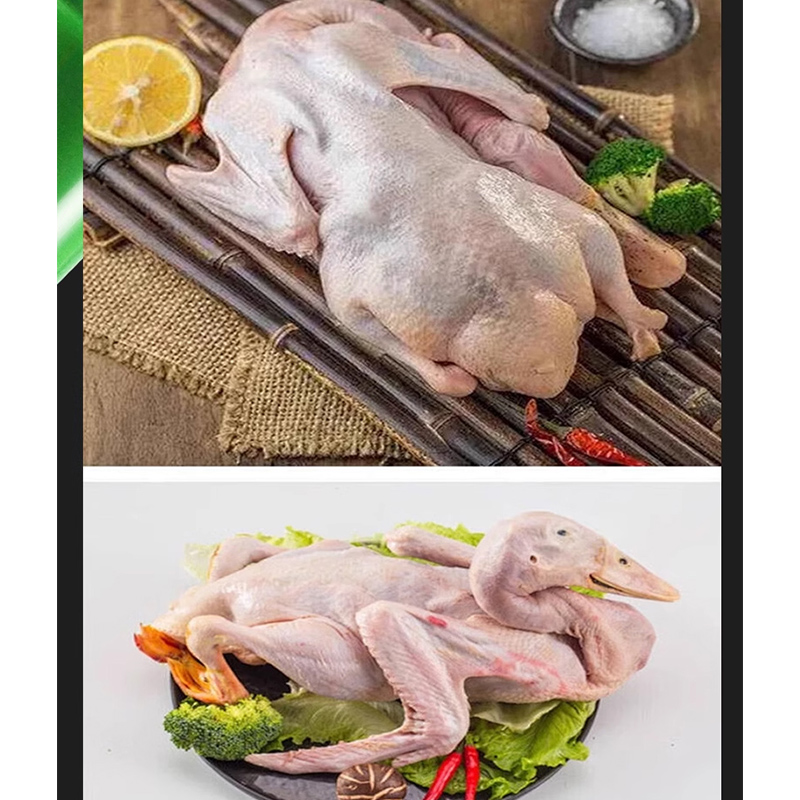 Spiumatrice automatica per piu - Chicken Plucker Machine recensione e prezzo