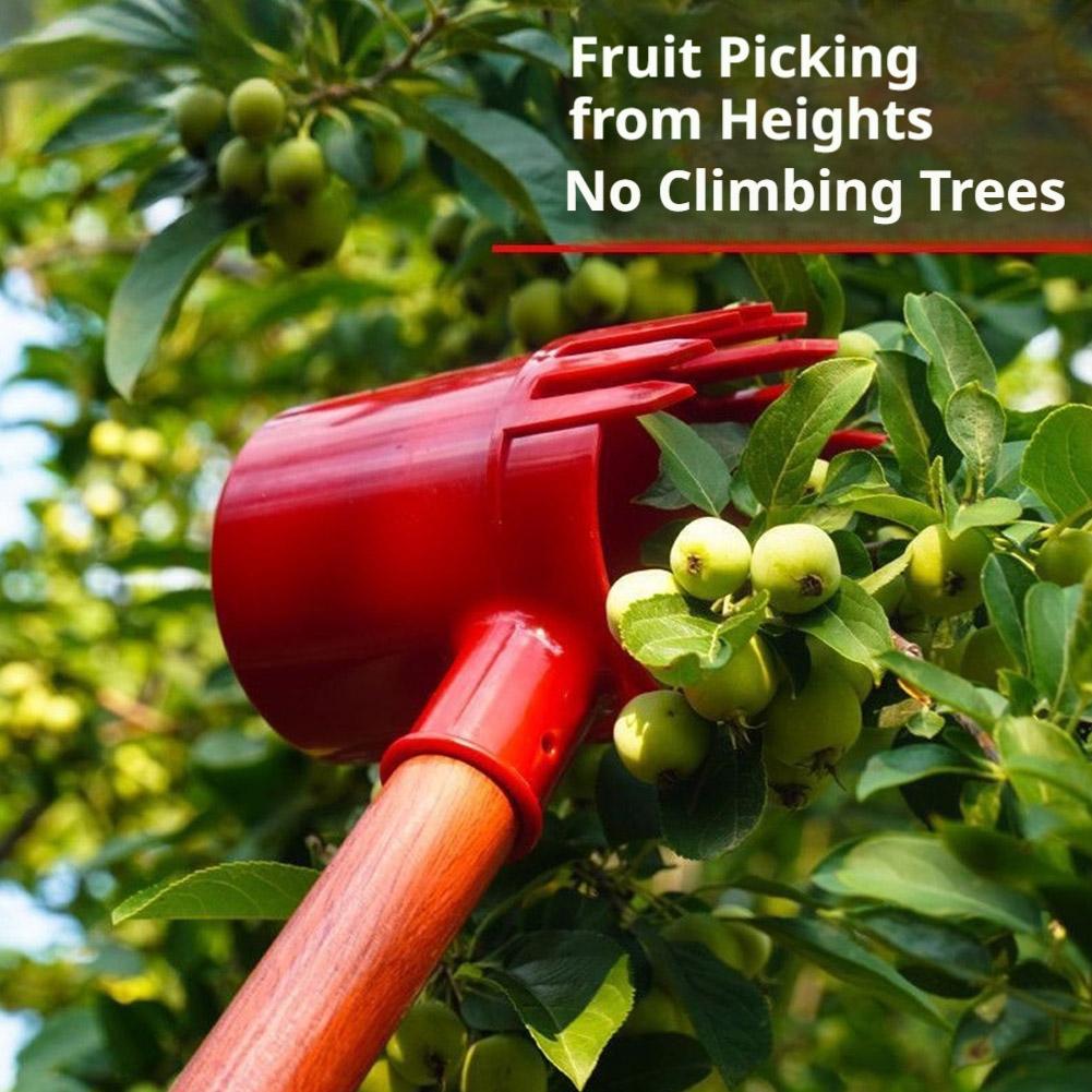 Raccoglitore di Frutta Portati - Farming Tools For Agriculture recensione e prezzo