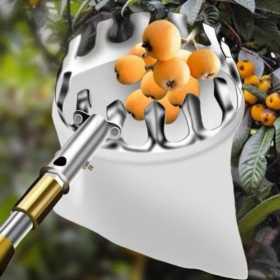 Raccogli Frutta Professionale: - Farming Tools For Agriculture recensione e prezzo