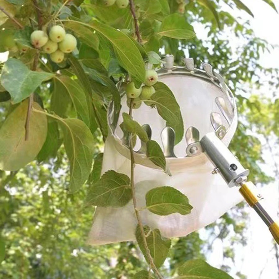 Raccogli Frutta Professionale: - Farming Tools For Agriculture recensione e prezzo