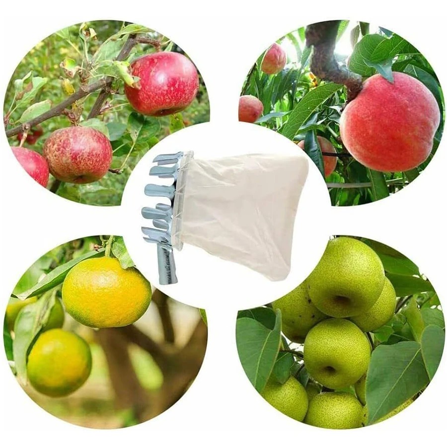 Raccogli Frutta Professionale: - Farming Tools For Agriculture recensione e prezzo