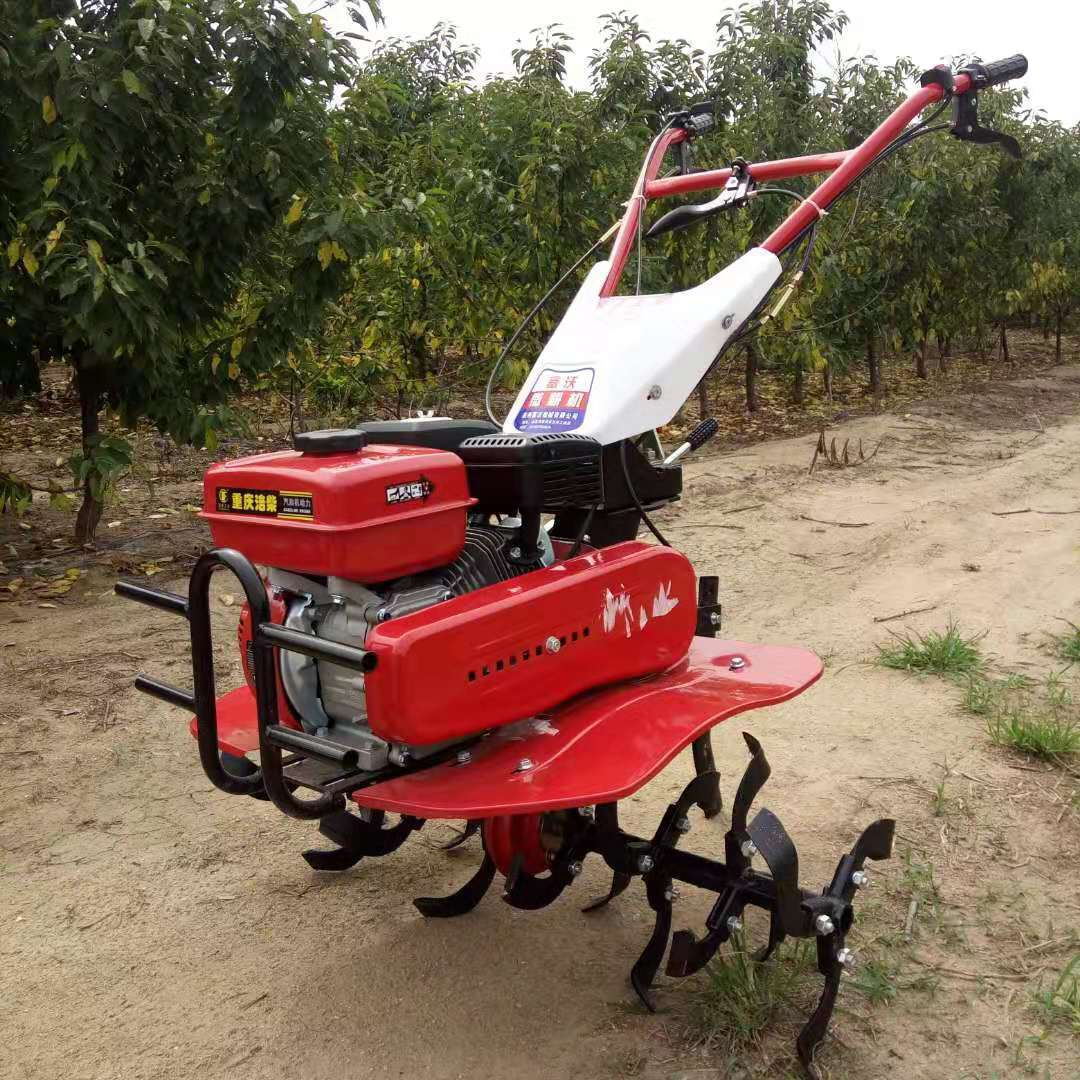 Micro-motozappa ad Alta Produt - Farming And Agriculture Jobs recensione e prezzo