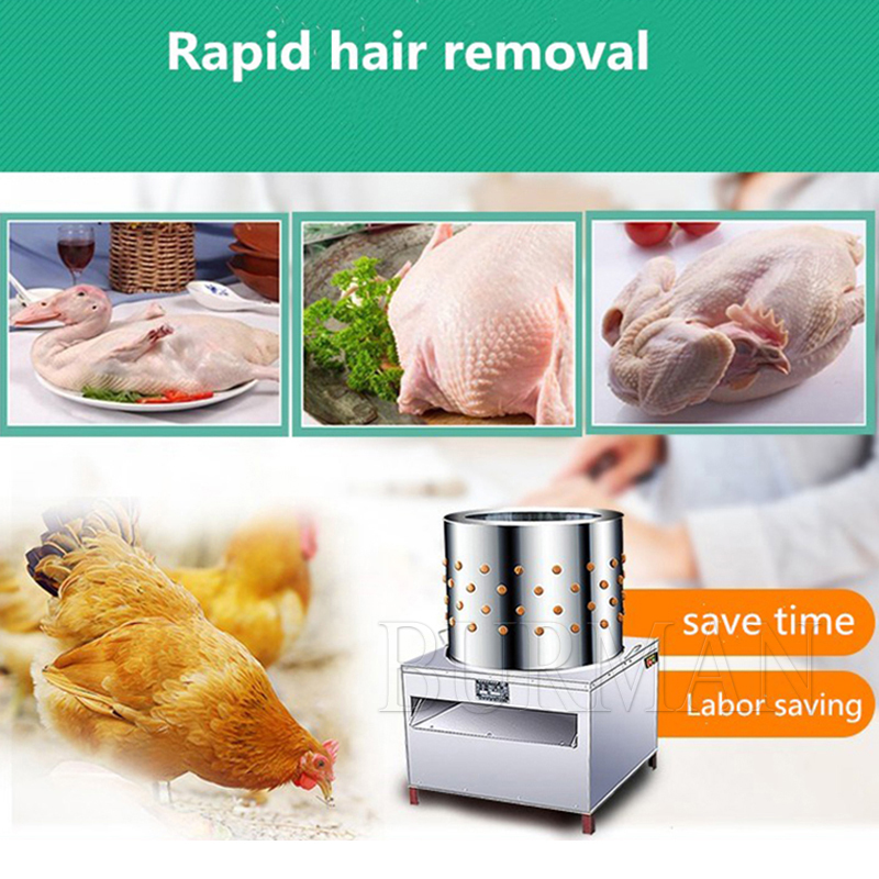 Nuovo Quaglia Piccioni Uccelli - Chicken Plucker Machine recensione e prezzo