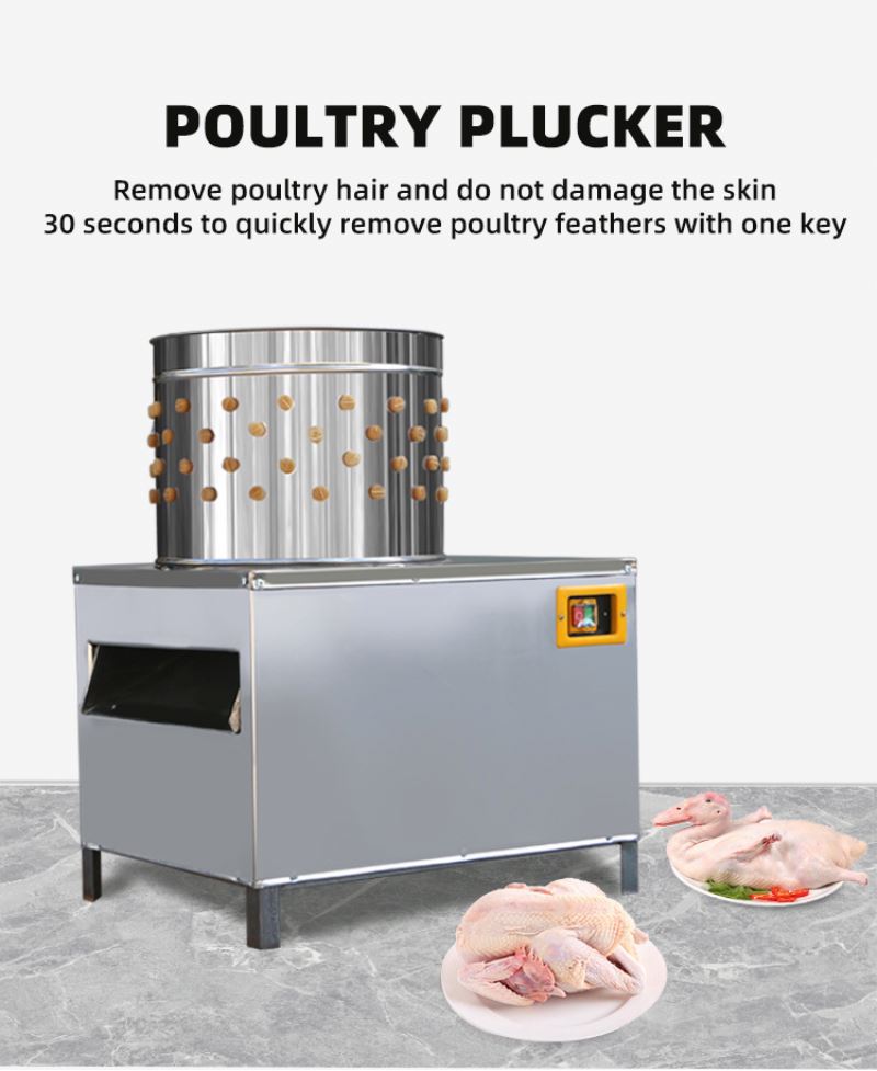 Macchina per la Macellazione d - Chicken Plucker Machine recensione e prezzo