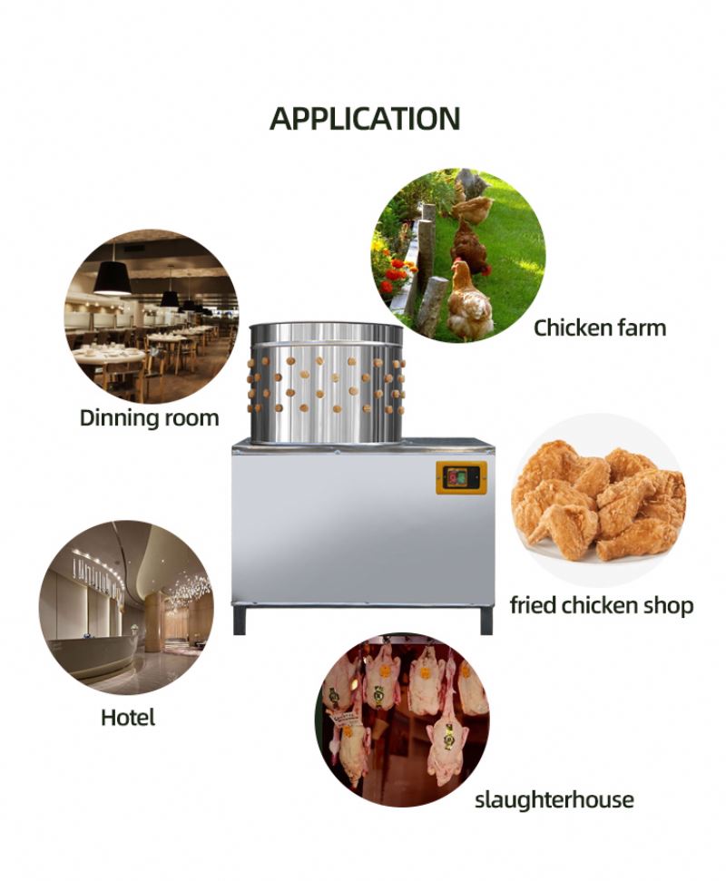 Macchina per la Macellazione d - Chicken Plucker Machine recensione e prezzo