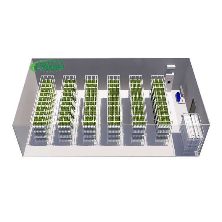 Serre agricole Lettuce Nft Sis - Agriculture Vertical Farming recensione e prezzo