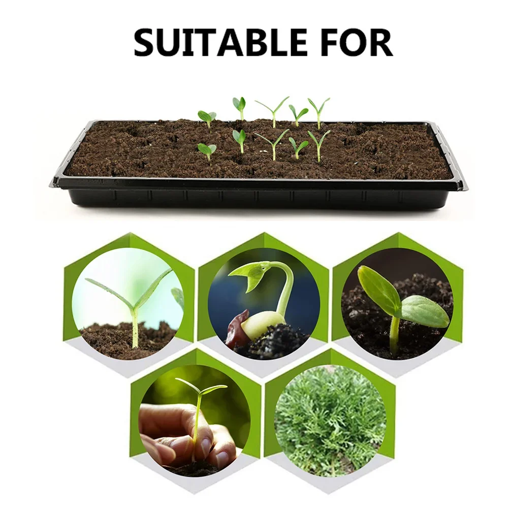 Vassoi Leggeri per Germinazion - Nursery Plug Tray recensione e prezzo
